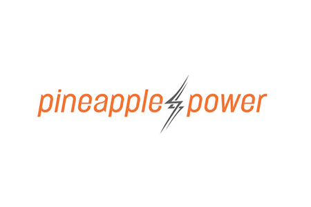 Perivan welcomes Pineapple Power Corporation to our annual report portfolio